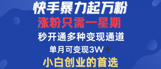 快手暴力起万粉，涨粉只需一星期，多种变现模式，直接秒开万合，单月变现过W【揭秘】-鼎誉项目网