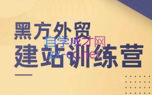黑方老师·谷歌B端独立站建站推广-鼎誉项目网