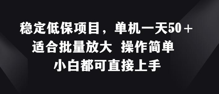 稳定低保项目，单机一天50+适合批量放大 操作简单 小白都可直接上手【揭秘】-鼎誉项目网