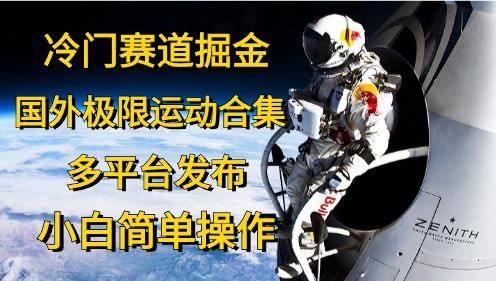 冷门赛道掘金，国外极限运动视频合集，多平台发布，小白简单操作-鼎誉项目网