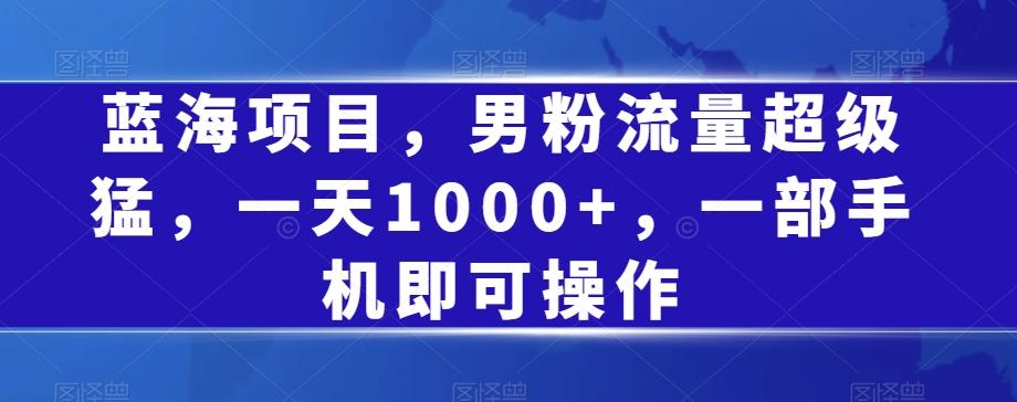 蓝海项目，男粉流量超级猛，一天1000+，一部手机即可操作【揭秘】-鼎誉项目网