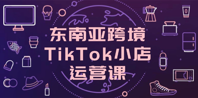 东南亚跨境TikTok小店运营课，掌握店铺设置与流量转化核心技巧-鼎誉项目网
