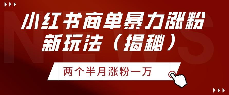 小红书商单暴力涨粉新玩法两个半月涨粉一万（揭秘）-鼎誉项目网