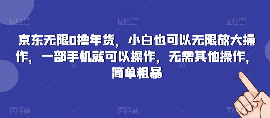 京东无限0撸年货，小白也可以无限放大操作，一部手机就可以操作，无需其他操作，简单粗暴-鼎誉项目网