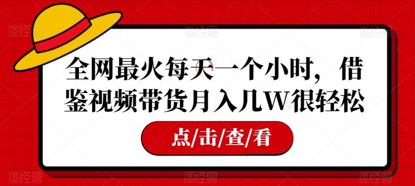 全网最火每天一个小时，借鉴视频带货月入几W很轻松【揭秘】-鼎誉项目网