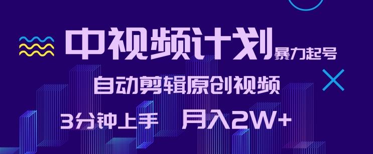 中视频计划暴力起号，自动剪辑原创视频，3分钟上手，月入2W+【揭秘】-鼎誉项目网