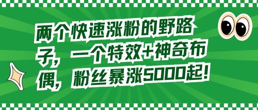 两个快速涨粉的野路子，一个特效+神奇布偶，粉丝暴涨5000起【揭秘】-鼎誉项目网