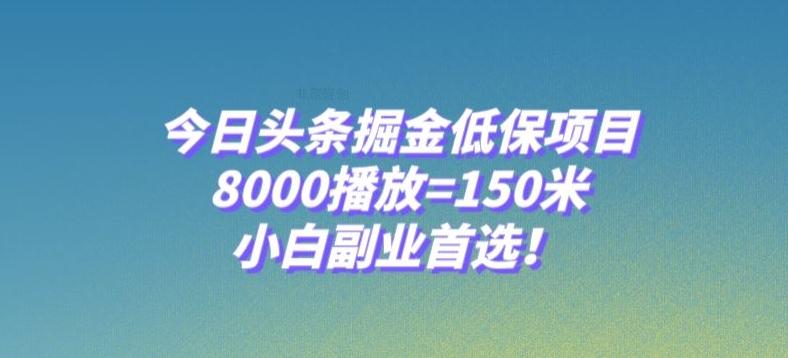 今日头条掘金低保项目，8000播放=150米，小白副业首选【揭秘】-鼎誉项目网