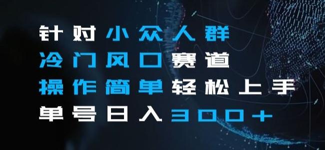 针对小众人群冷门风口赛道，操作简单轻松上手单号日入300+-鼎誉项目网