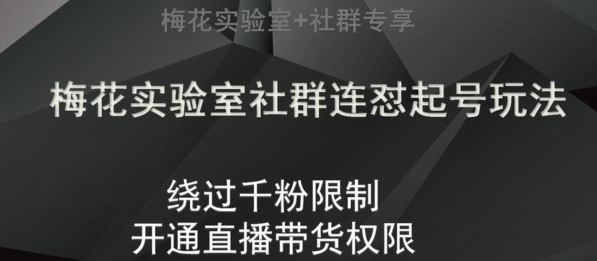 梅花实验室社群连怼起号玩法，视频号绕过千粉限制，开通直播带货权限【揭秘】-鼎誉项目网