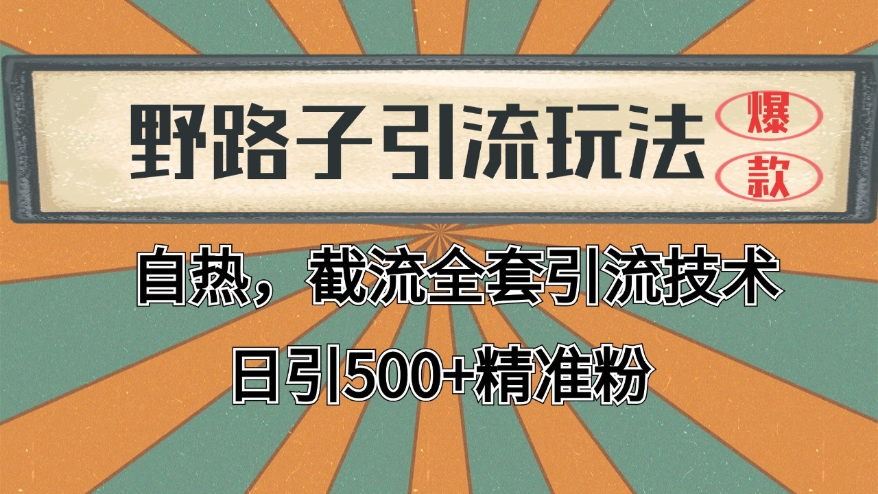 抖音小红书视频号全平台引流打法，全自动引流日引2000+精准客户-鼎誉项目网