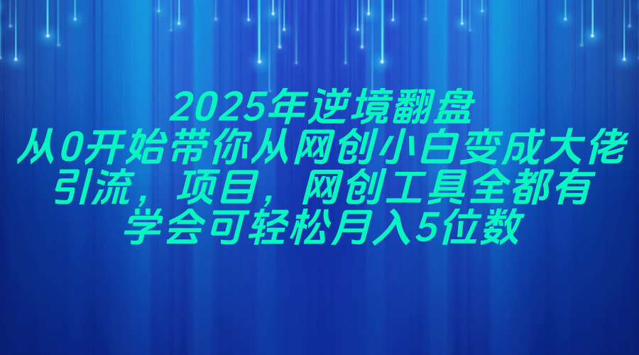 2025年逆境翻盘，从0开始带你从网创小白变成大佬，引流，项目，网创工...-鼎誉项目网