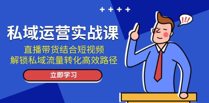 私域运营实战课：直播带货结合短视频，解锁私域流量转化高效路径-鼎誉项目网