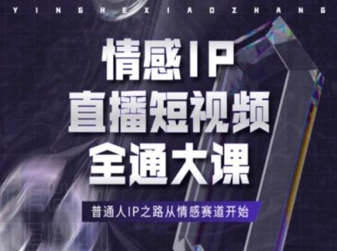 情感IP直播短视频全通大课，普通人IP之路从情感赛道开始-鼎誉项目网