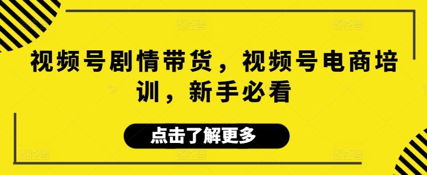 视频号剧情带货，视频号电商培训，新手必看-鼎誉项目网
