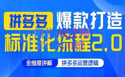 云杉老师·拼多多爆款打造标准化流程2.0-鼎誉项目网