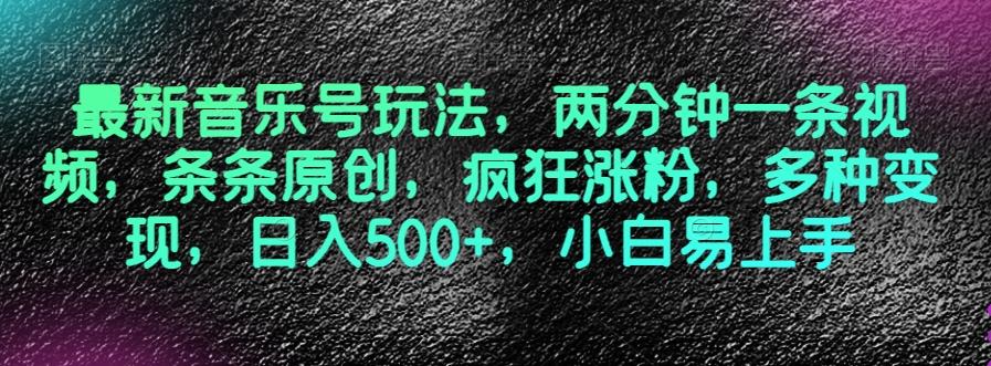 最新音乐号玩法，两分钟一条视频，条条原创，疯狂涨粉，多种变现，日入500+，小白易上手【揭秘】-鼎誉项目网