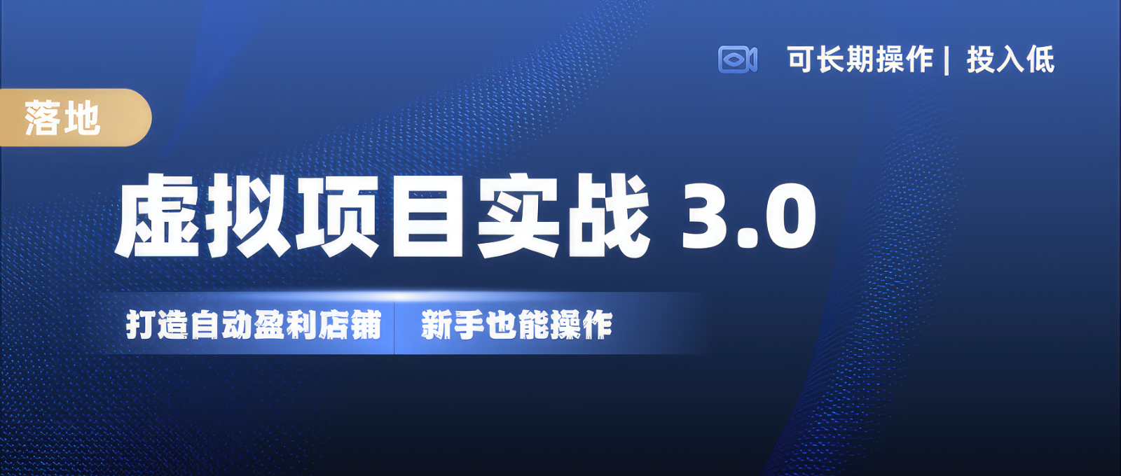 虚拟项目实操落地 3.0,新手轻松上手，单品月入1W+-鼎誉项目网