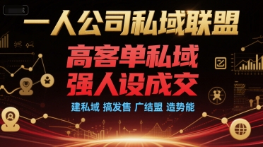 一人公司私域联盟，高客单私域，强人设成交，建私域 搞发售 广结盟 造势能-鼎誉项目网