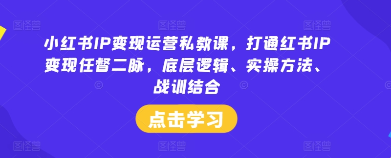 小红书IP变现运营私教课，打通红书IP变现任督二脉，底层逻辑、实操方法、战训结合-鼎誉项目网