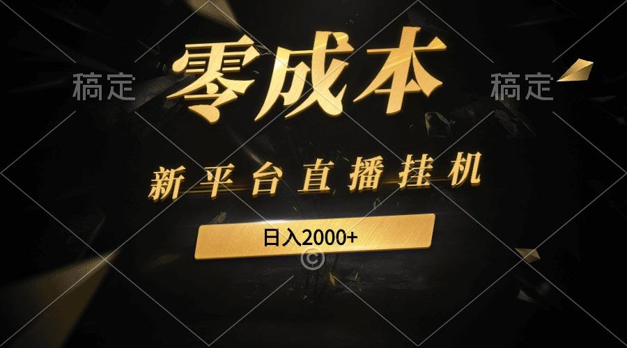 (9841期)新平台直播挂机最新玩法，0成本，不违规，日入2000+-鼎誉项目网