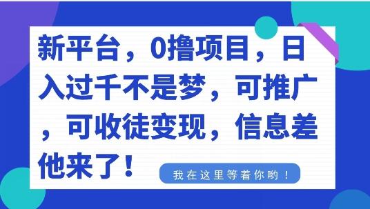 不要再花冤枉钱了，0撸项目，每天坚持，稳定1000+-鼎誉项目网