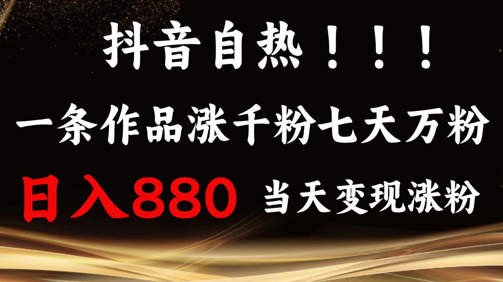 抖音小红书自热,一条作品1000粉,7天万粉,单日变现880收益-鼎誉项目网