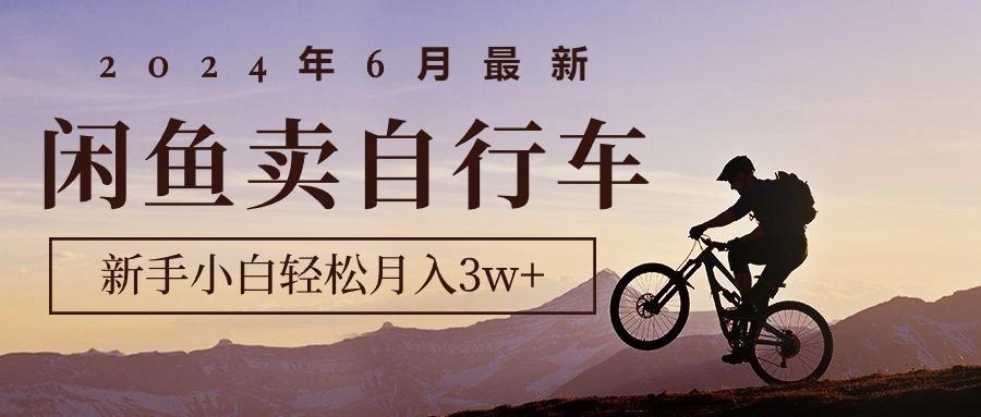 2024年6月最新闲鱼卖自行车，新手小白轻松月入3w+项目-鼎誉项目网