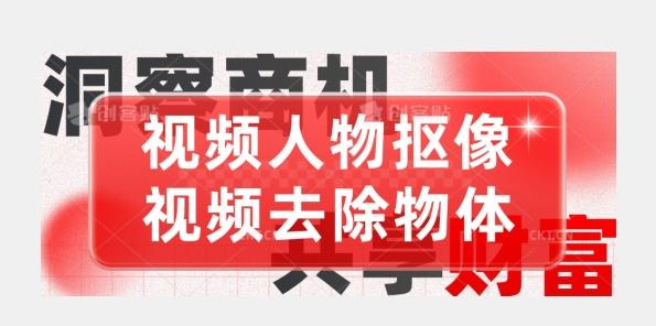 【超强视频处理工具】视频人物抠像+视频去除物体-鼎誉项目网
