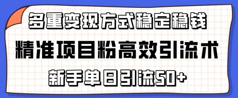 精准项目粉高效引流术，新手单日引流50+，多重变现方式稳定赚钱【揭秘】-鼎誉项目网