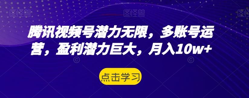 腾讯视频号潜力无限，多账号运营，盈利潜力巨大，月入10w+-鼎誉项目网