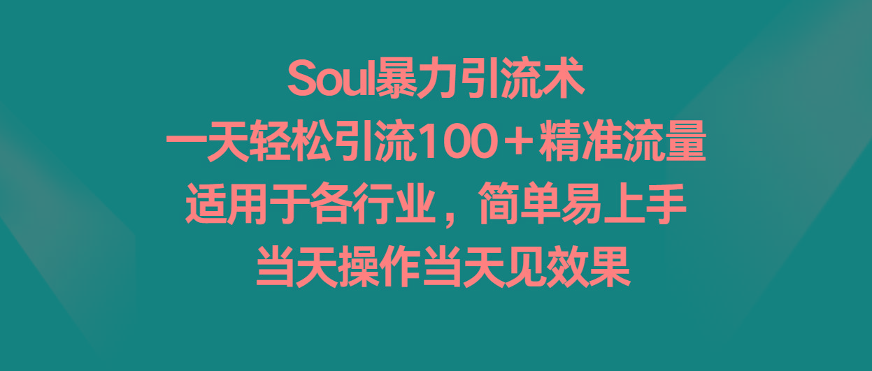 Soul暴力引流术，一天轻松引流100＋精准流量，适用于各行业，简单易上手！-鼎誉项目网