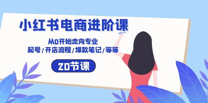 小红书电商进阶课：从0开始走向专业 起号/开店流程/爆款笔记/等等(20节-鼎誉项目网