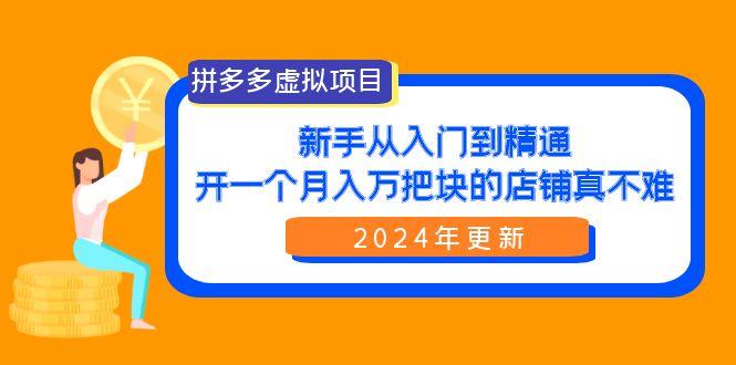 (9744期)拼多多虚拟项目：入门到精通，开一个月入万把块的店铺 真不难(24年更新)-鼎誉项目网