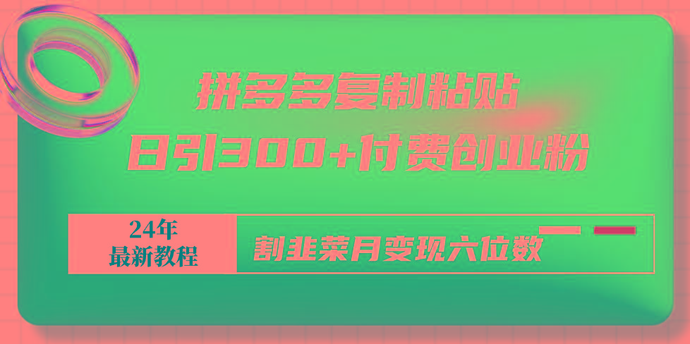 拼多多复制粘贴日引300+付费创业粉，割韭菜月变现六位数最新教程！-鼎誉项目网
