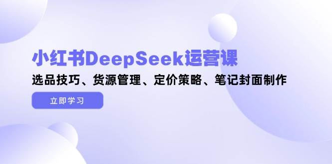 小红书DeepSeek运营课，选品技巧、货源管理、定价策略、笔记封面制作-鼎誉项目网