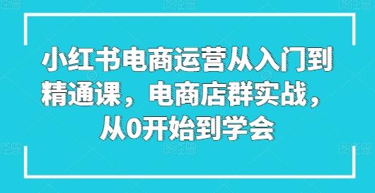 小红书电商运营从入门到精通课，电商店群实战，从0开始到学会-鼎誉项目网