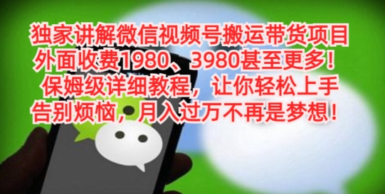 独家讲解微信视频号搬运带货项目，保姆级详细教程-鼎誉项目网