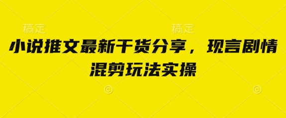 小说推文最新干货分享，现言剧情混剪玩法实操-鼎誉项目网
