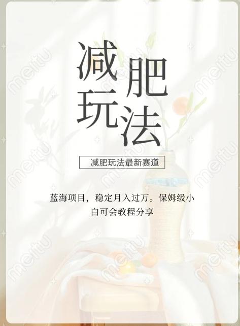 减肥流量主新玩法，轻松月入1W，可矩阵操作收入翻倍-鼎誉项目网