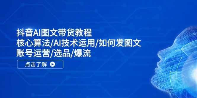 抖音AI图文带货教程：核心算法/AI技术运用/如何发图文/账号运营/选品/爆流-鼎誉项目网