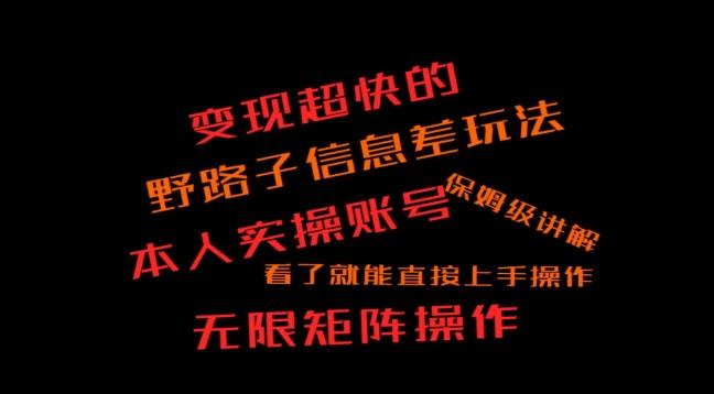 变现超快的野路子信息差玩法，本人实操账号保姆级讲解-鼎誉项目网