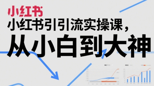 小红书引流实操课，从小白到大神-鼎誉项目网