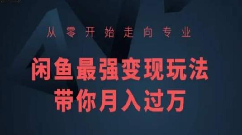 从零开始走向专业，闲鱼最强变现玩法带你月入过万-鼎誉项目网