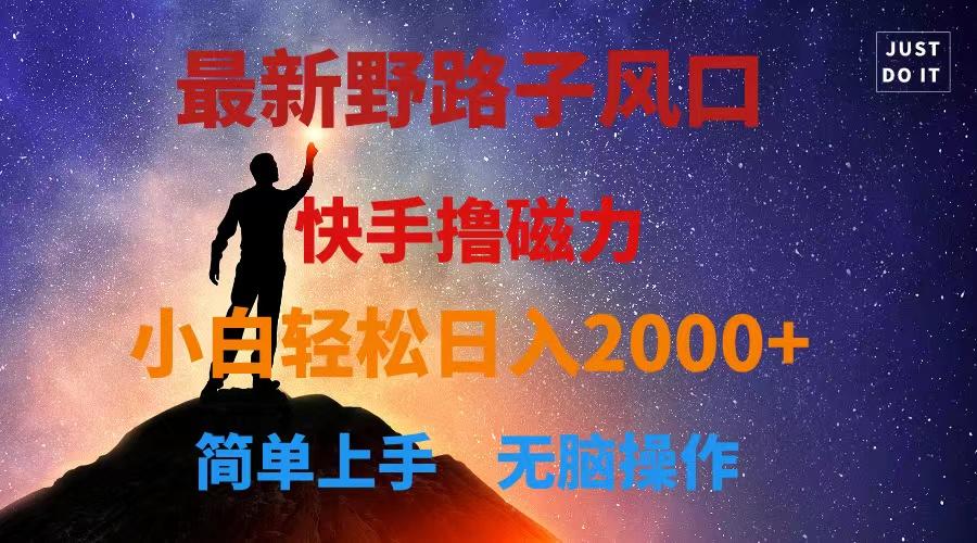 最新风口！快手撸磁力，野路子，小白无脑操作日入2000+-鼎誉项目网