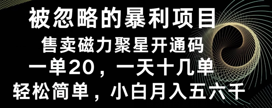 被忽略的暴利项目！售卖磁力聚星开通码，一单20，一天十几单，轻松月入五六千-鼎誉项目网
