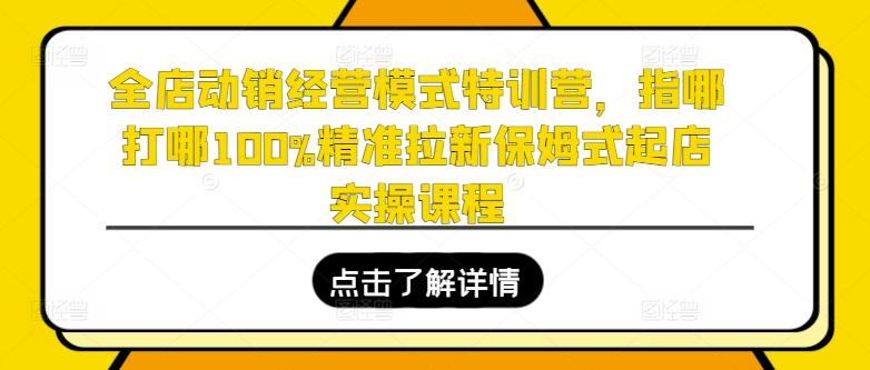 全店动销经营模式特训营，指哪打哪100%精准拉新保姆式起店实操课程-鼎誉项目网
