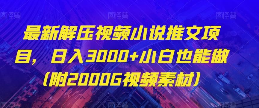 最新解压视频小说推文项目，日入3000+小白也能做（附2000G视频素材）【揭秘】-鼎誉项目网