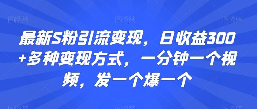 最新S粉引流变现，日收益300+多种变现方式，一分钟一个视频，发一个爆一个【揭秘】-鼎誉项目网
