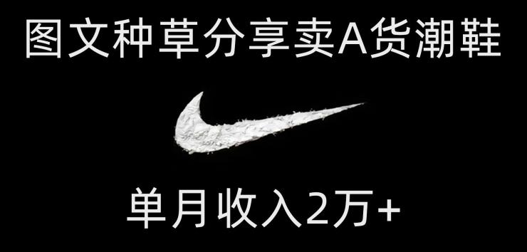 靠图文种草分享卖A货潮鞋，每天一小时，单月收入2万+【揭秘】-鼎誉项目网